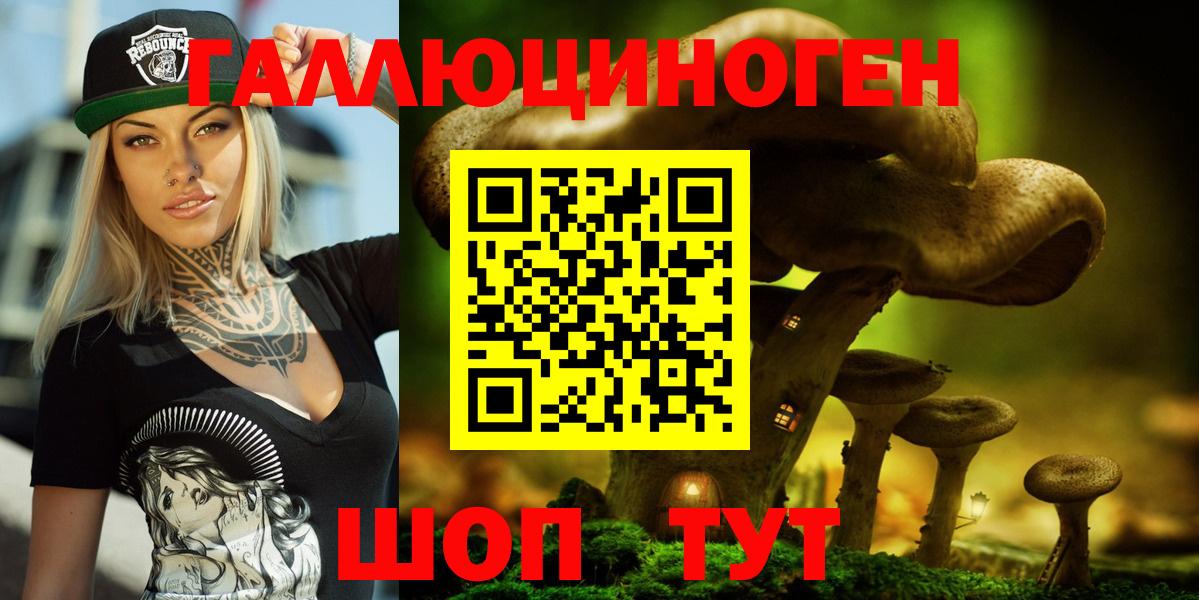 Псилоцибиновые грибы прущие грибы Заводоуковск