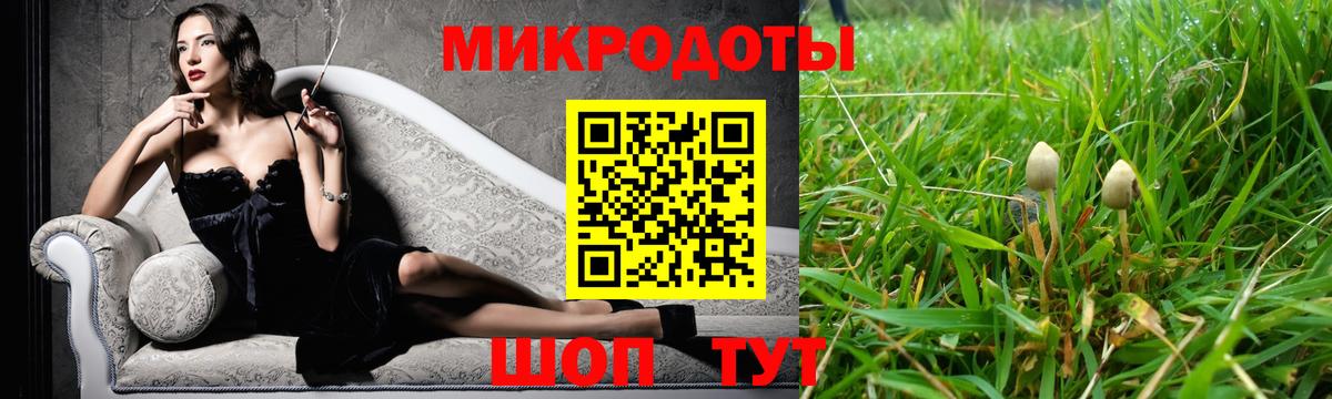 Галлюциногенные грибы MAGIC MUSHROOMS  Вход с VPN  Заводоуковск  Галлюциногенные грибы мицелий 